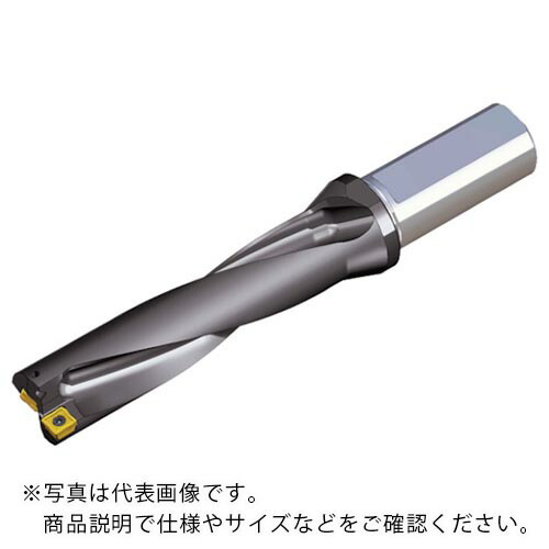 テグテック　刃先交換式ドリルホルダー　トップドリル TOP 4170-25T2-06 ( TOP417025T206 ) テグテックジャパン（株）