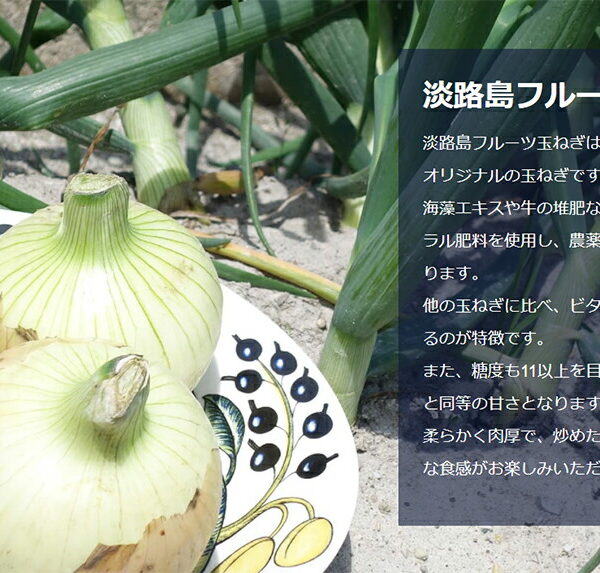 淡路島たまねぎ工房　株式会社善太神戸牛ビーフカレー160g×60個セット＜神戸ビーフとフルーツ玉ねぎを使用したレトルトカレー＞(要6-10日間程度)(キャンセル不可商品)