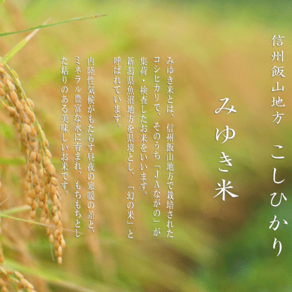 令和５年産 長野県産 こしひかり 幻の米 みゆき米 １等米 玄米 ３０ｋｇ