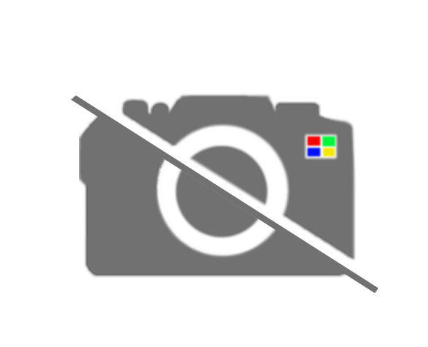 『1番のみ』 ワゴンＲ/ワイド､プラス､ソリオ用 右側のフロントシートのクッション[一式] 85101-74F00-E0K FIG8510 スズキ純正部品 kwd42kwd