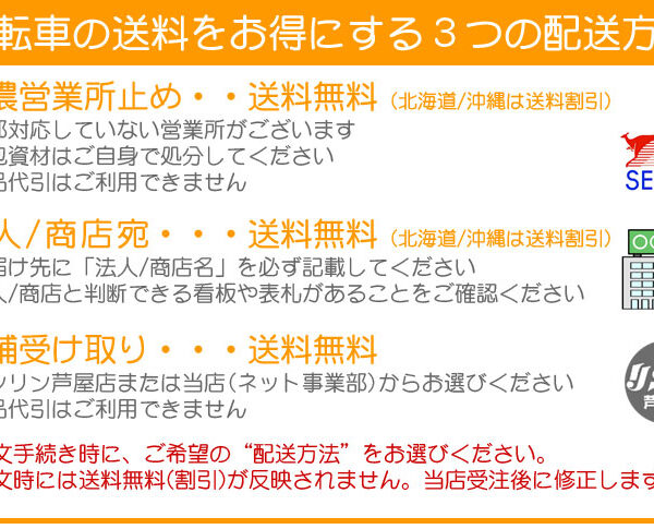 BRIDGESTONE ブリヂストン Wild Berry ワイルドベリー 24インチ シングル 子供用自転車