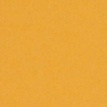 『撮影照明・撮影機材専門店』ライトグラフィカ 撮影用背景紙バックペーパー #35d イエローオレンジ 2.72×11m○写真撮影背景 紙バック スタジオ バックシート 背景布 背景紙 商品撮影 背景布