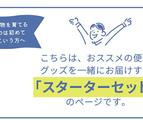 フィカス・アルテシーマ　曲がり　7号