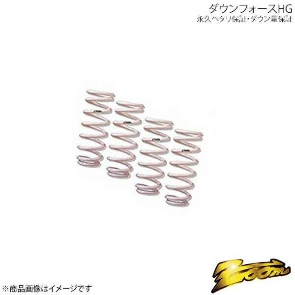 zoom/ズーム ダウンサス ダウンフォースHG レジェンド KB1